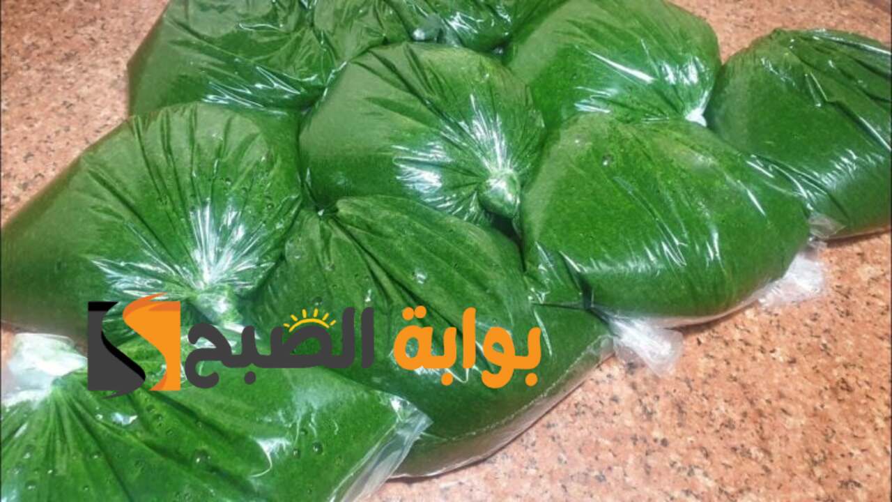 تخزين الملوخية الخضراء