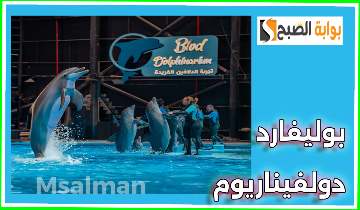 تذاكر بوليفارد دولفيناريوم