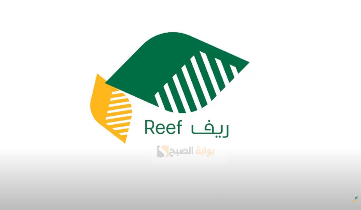 تسجيل برنامج ريف