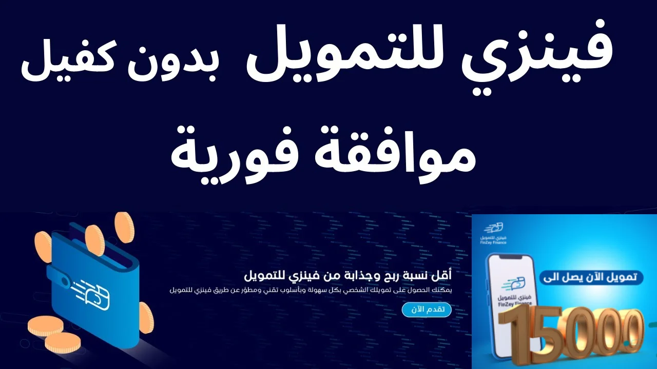 تمويل فينزي