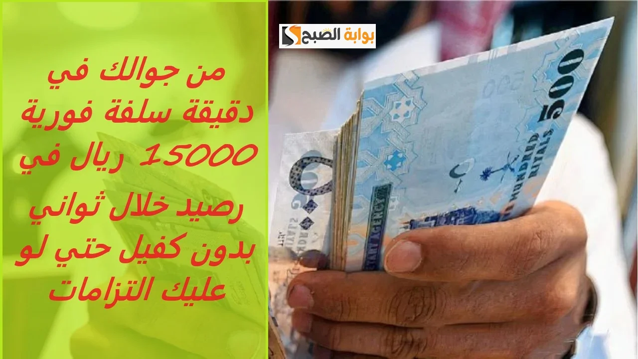 تمويل فينزي