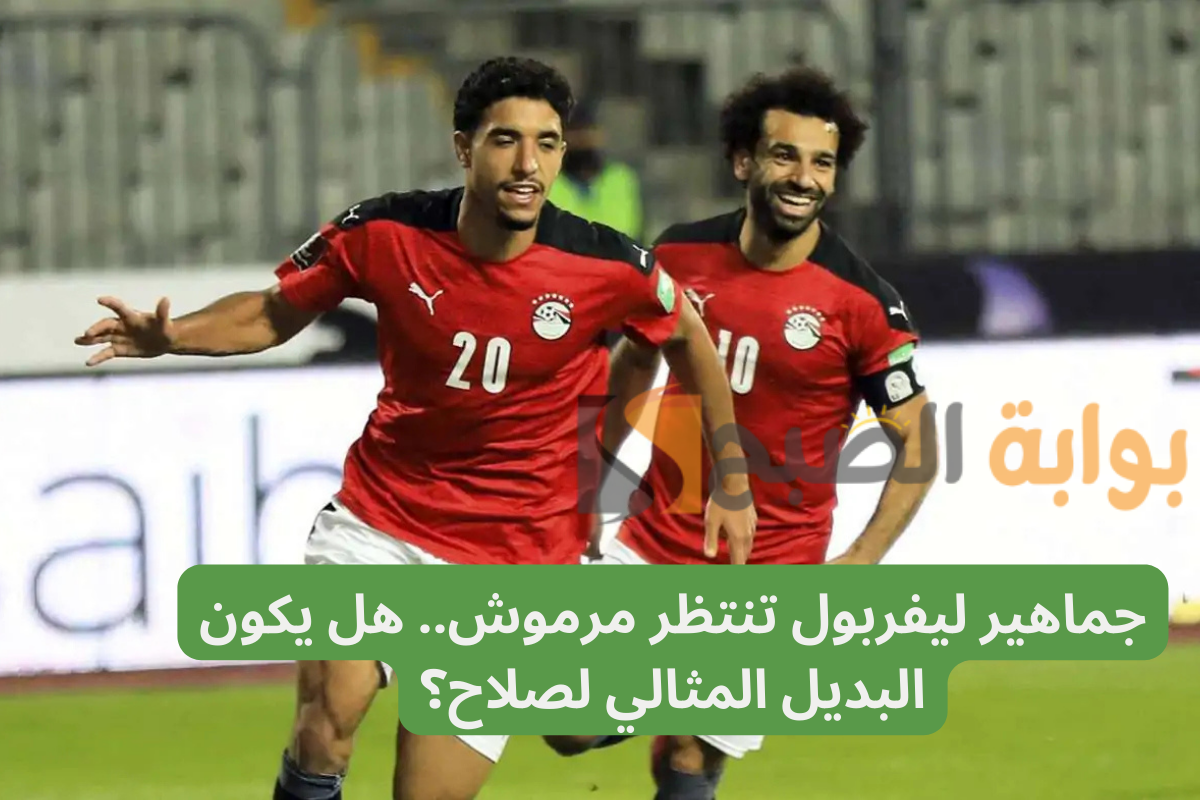 عمر مرموش