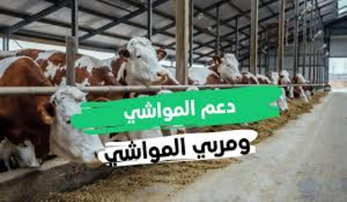 خطوات الاستعلام عن دعم المواشي 1446