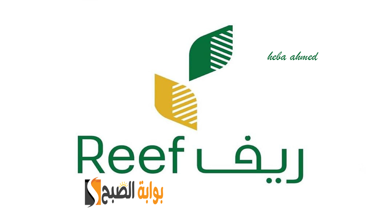دعم ريف