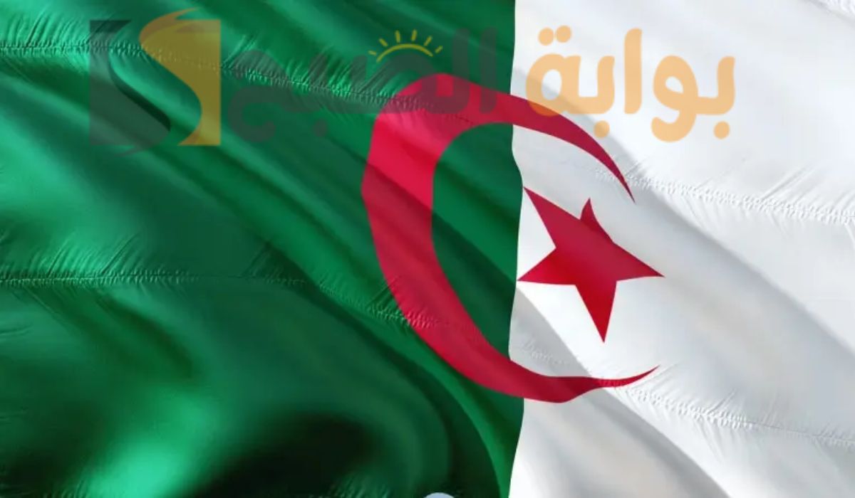 رفع سن التقاعد للنساء في الجزائر 2024
