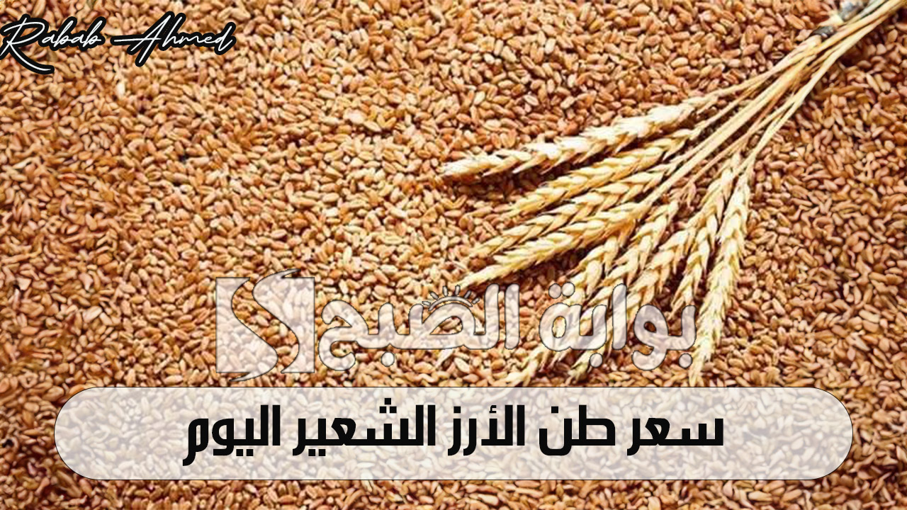 سعر طن الأرز الشعير اليوم