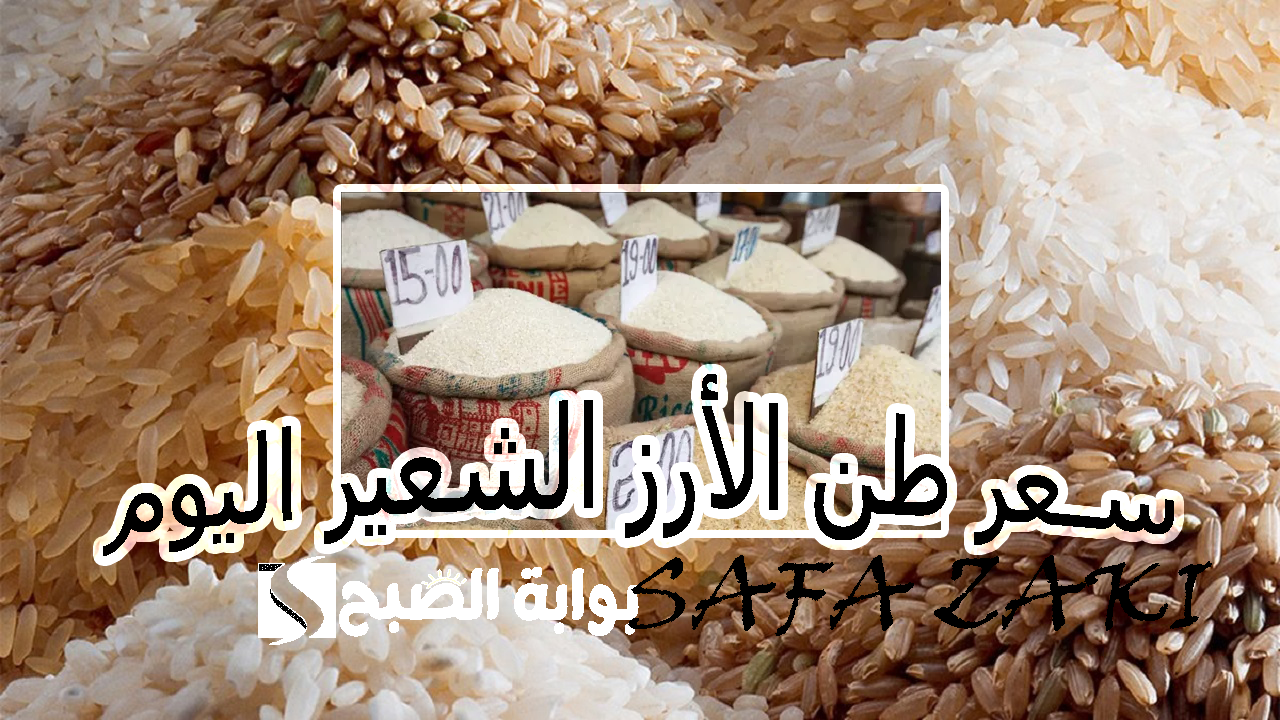 سعر طن الأرز الشعير اليوم الأثنين 28 أكتوبر 2024