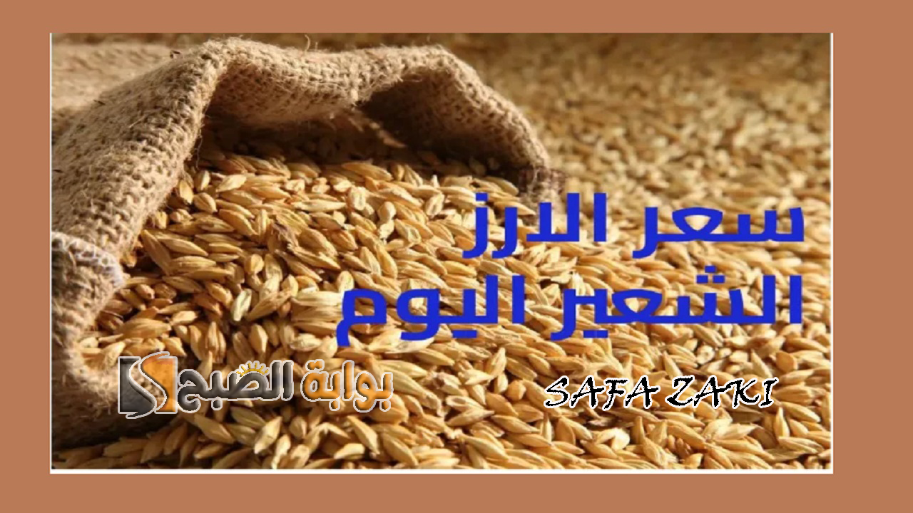 سعر طن الأرز الشعير اليوم الأربعاء 2 أكتوبر 2024
