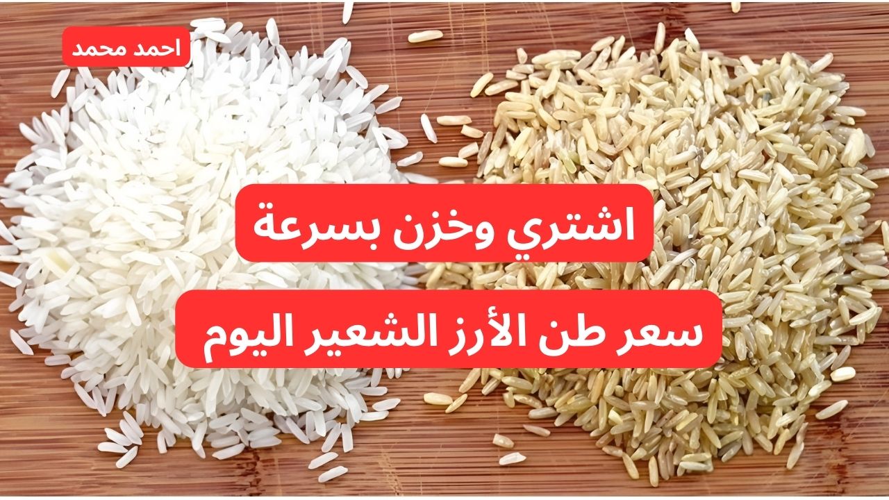 سعر طن الأرز الشعير اليوم الإثنين 28 أكتوبر 2024 في الأسواق