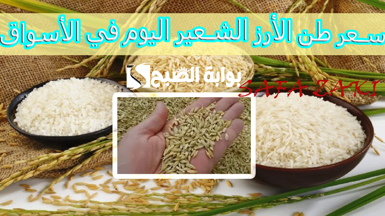 سعر طن الأرز الشعير اليوم في الأسواق