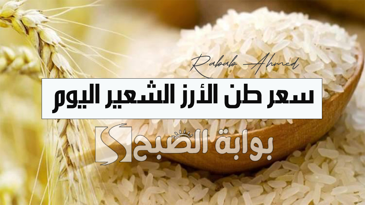 سعر طن الأرز الشعير اليوم