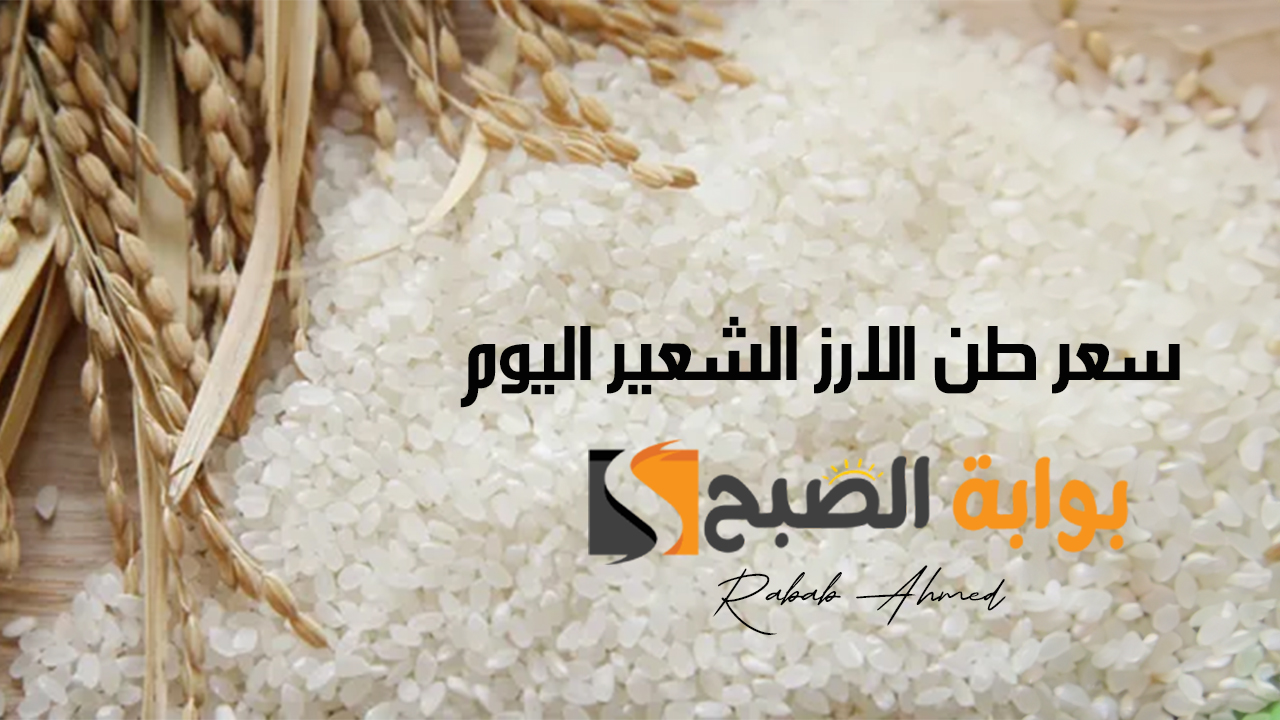 سعر طن الارز الشعير اليوم