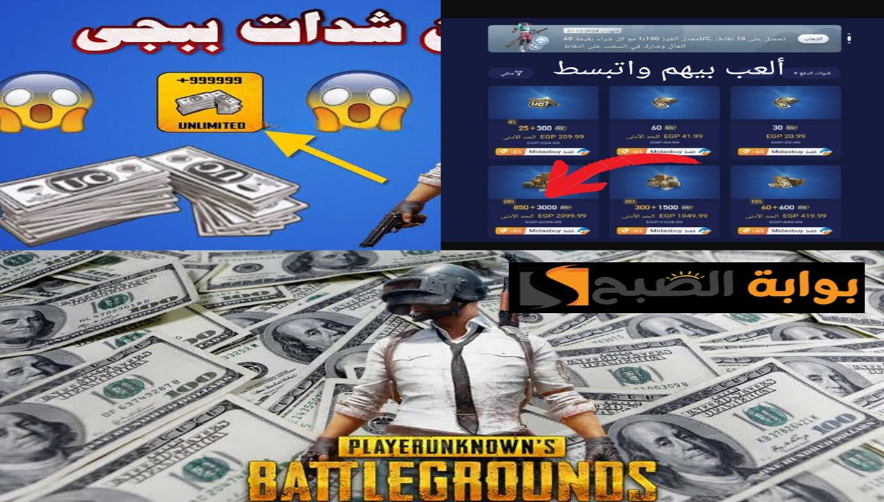 شحن شدات ببجى