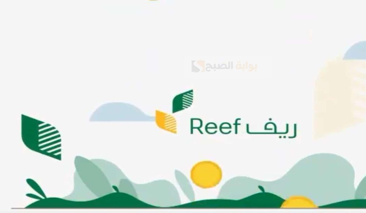 كم مدة دراسة دعم ريف