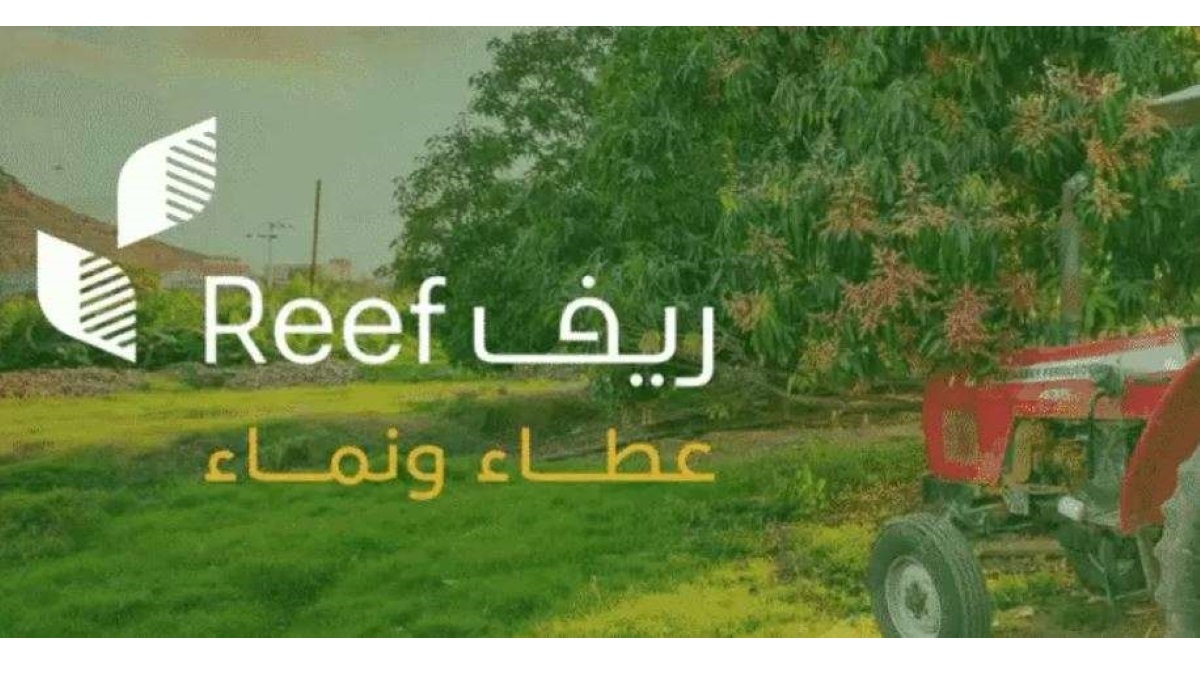 كيفية الاستعلام عن دعم ريف 1446