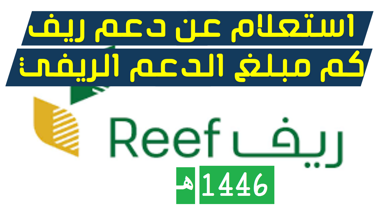 كيفية الاستعلام عن دعم ريف 1446