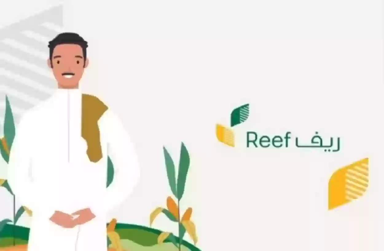 ما هي شروط دعم ريف للعاطلين 1446؟