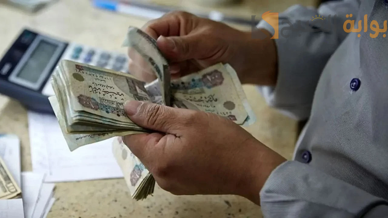 معاشات نوفمبر 2024