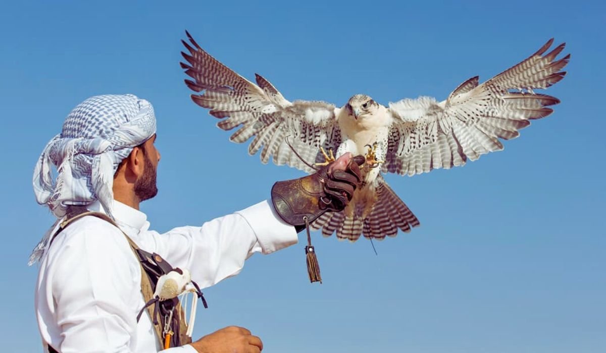 معرض الصقور 2024