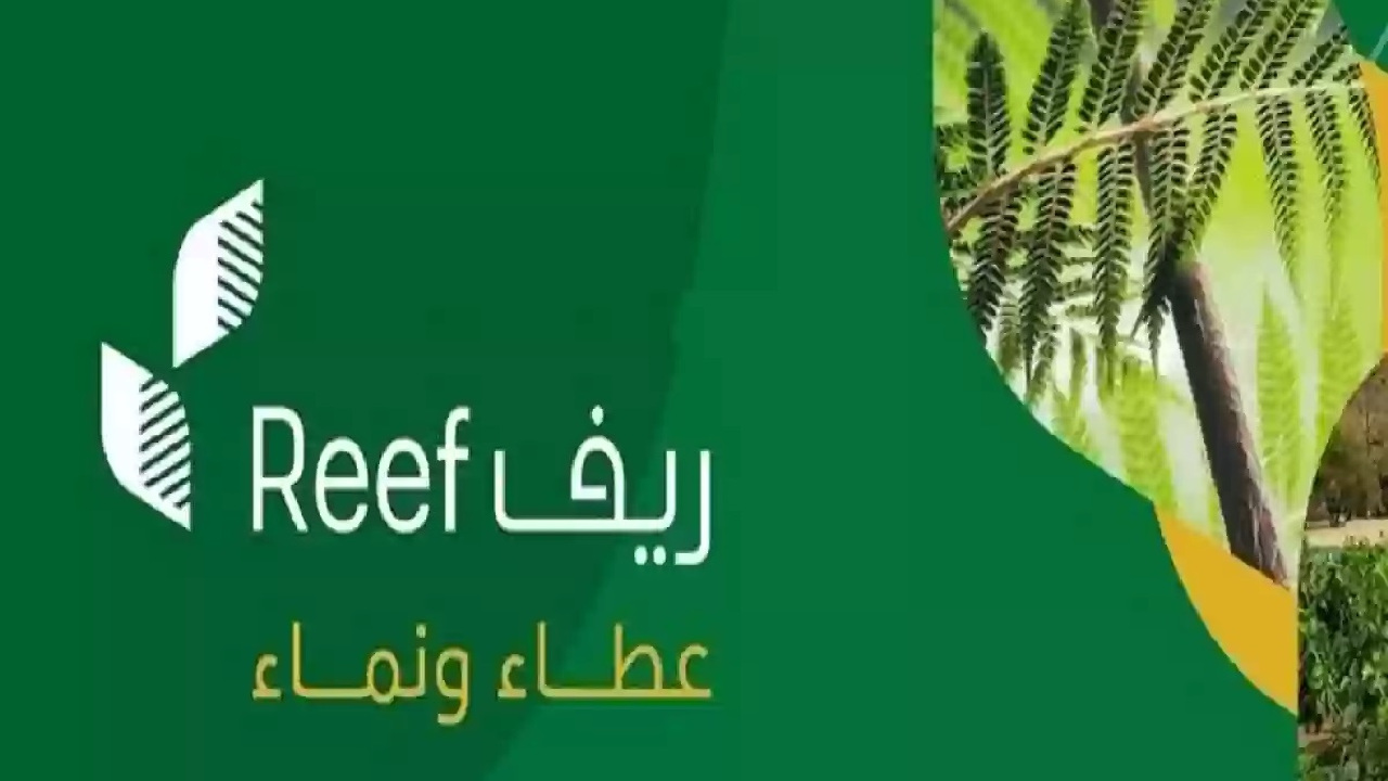 موعد الدعم الريفي