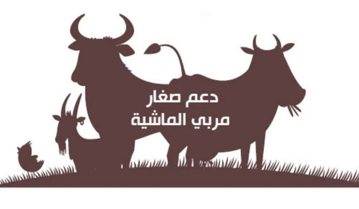 موعد صرف دعم المواشي شهر نوفمبر 2024