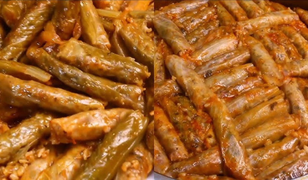 نص فقرتك 2024 10 13T114351.758