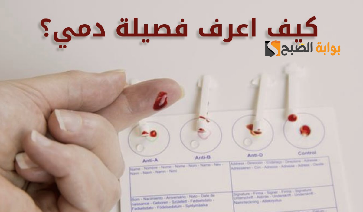 نص فقرتك 20241001 061744 ٠٠٠٠