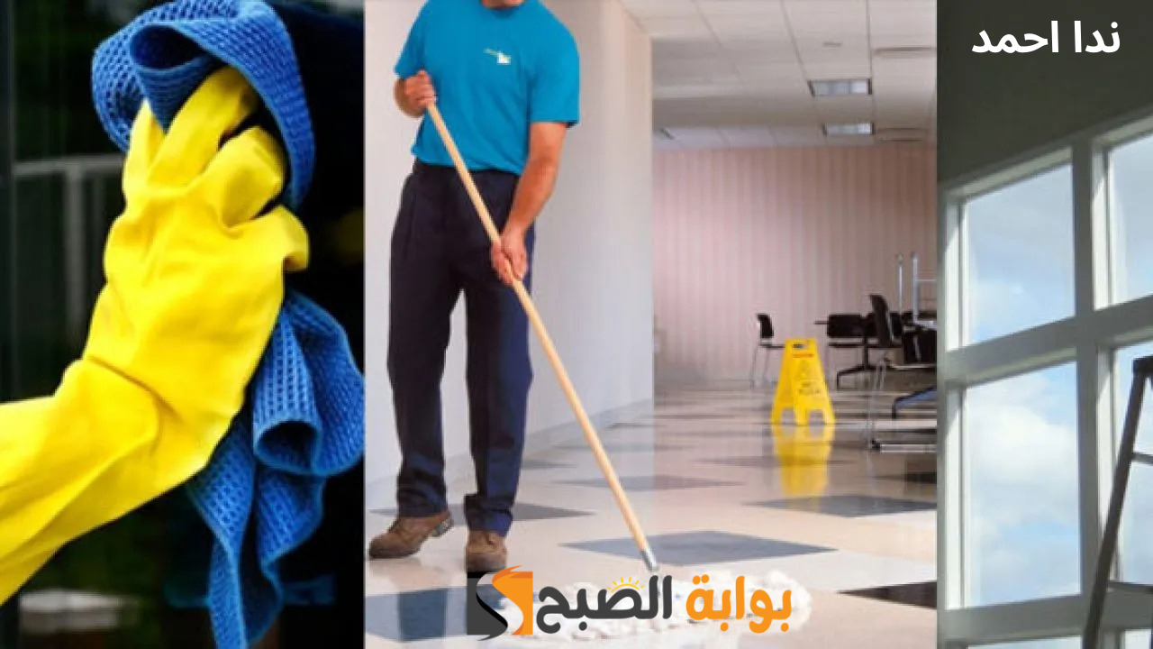 كيفية تنظيف المفروشات من البقع نهائيًا