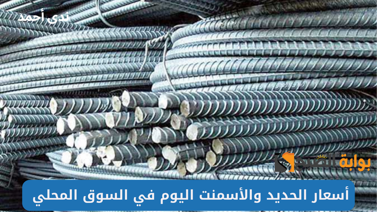 أسعار الحديد اليوم في مصر