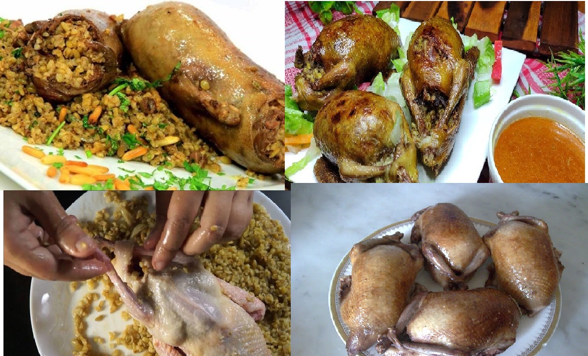 0stuffed birds