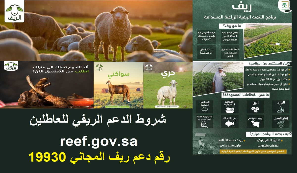 رقم دعم الريف السعودي