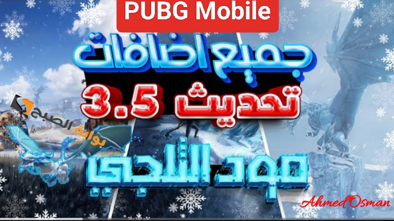 IMG ٢٠٢٤١١١١ ٠١١٥١٢