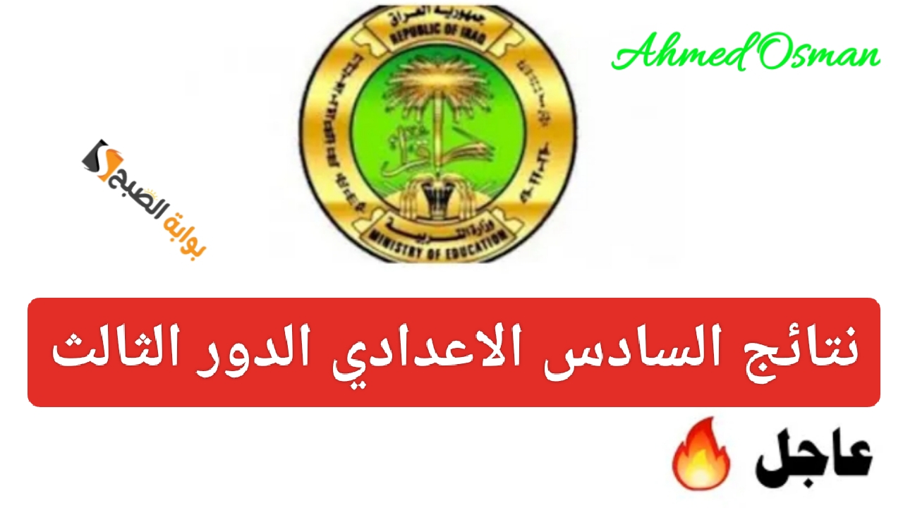 IMG ٢٠٢٤١١١٣ ٠٨٥٦١٩