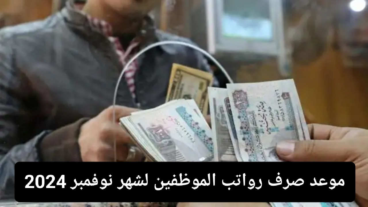 موعد صرف رواتب الموظفين لشهر نوفمبر 2024