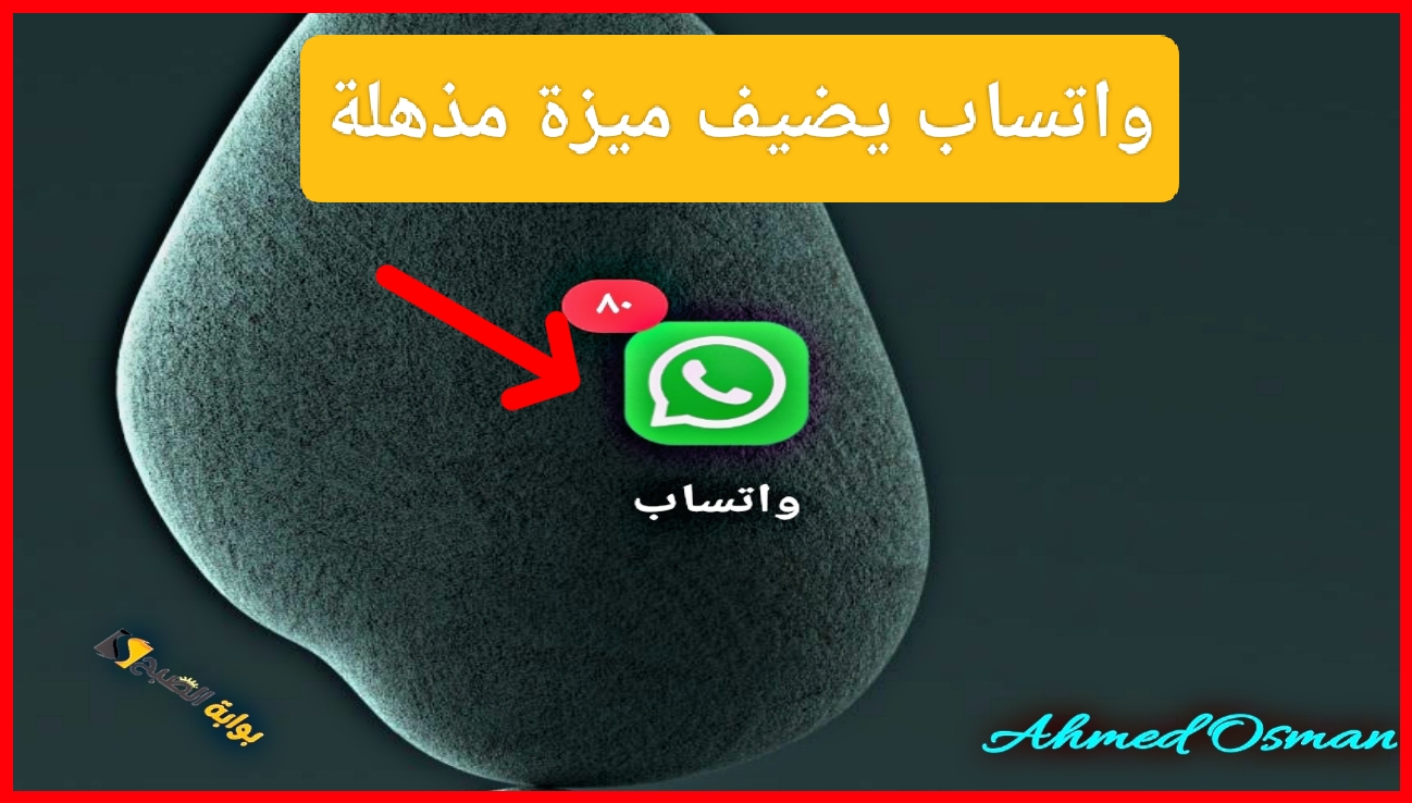 IMG ٢٠٢٤١١٢٧ ١٩٢٤٣٨ 1
