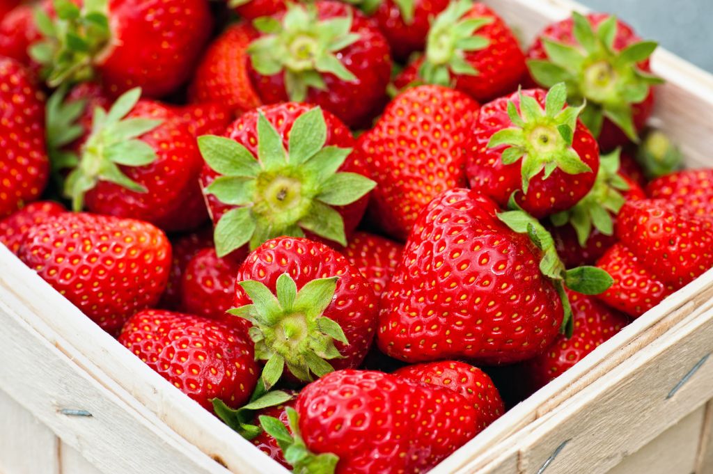 dnc factory strawberry