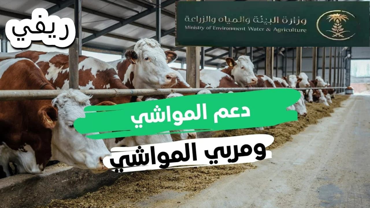خطوات الاستعلام عن دعم المواشي