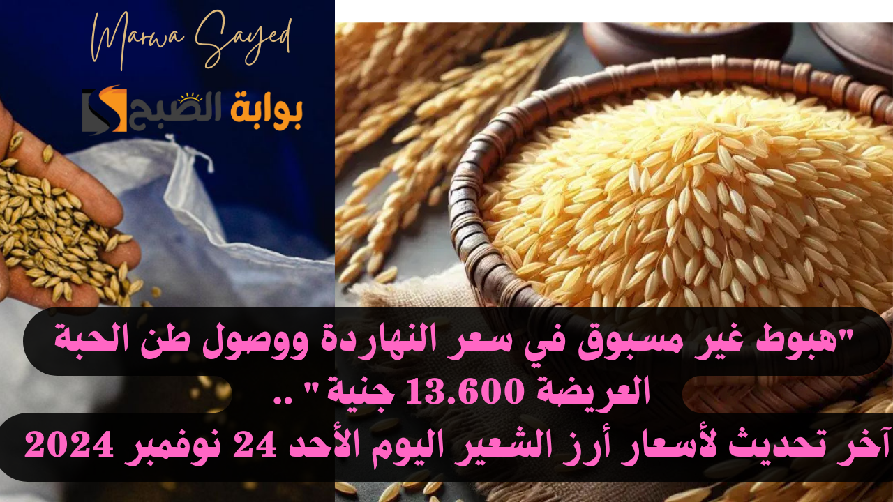أرز الشعير اليوم في مصر