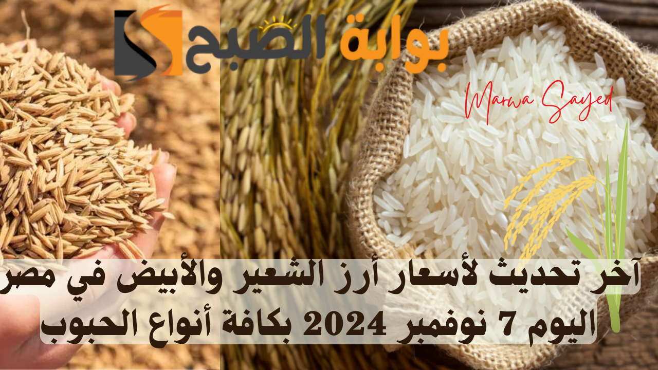 أسعار أرز الشعير اليوم في مصر