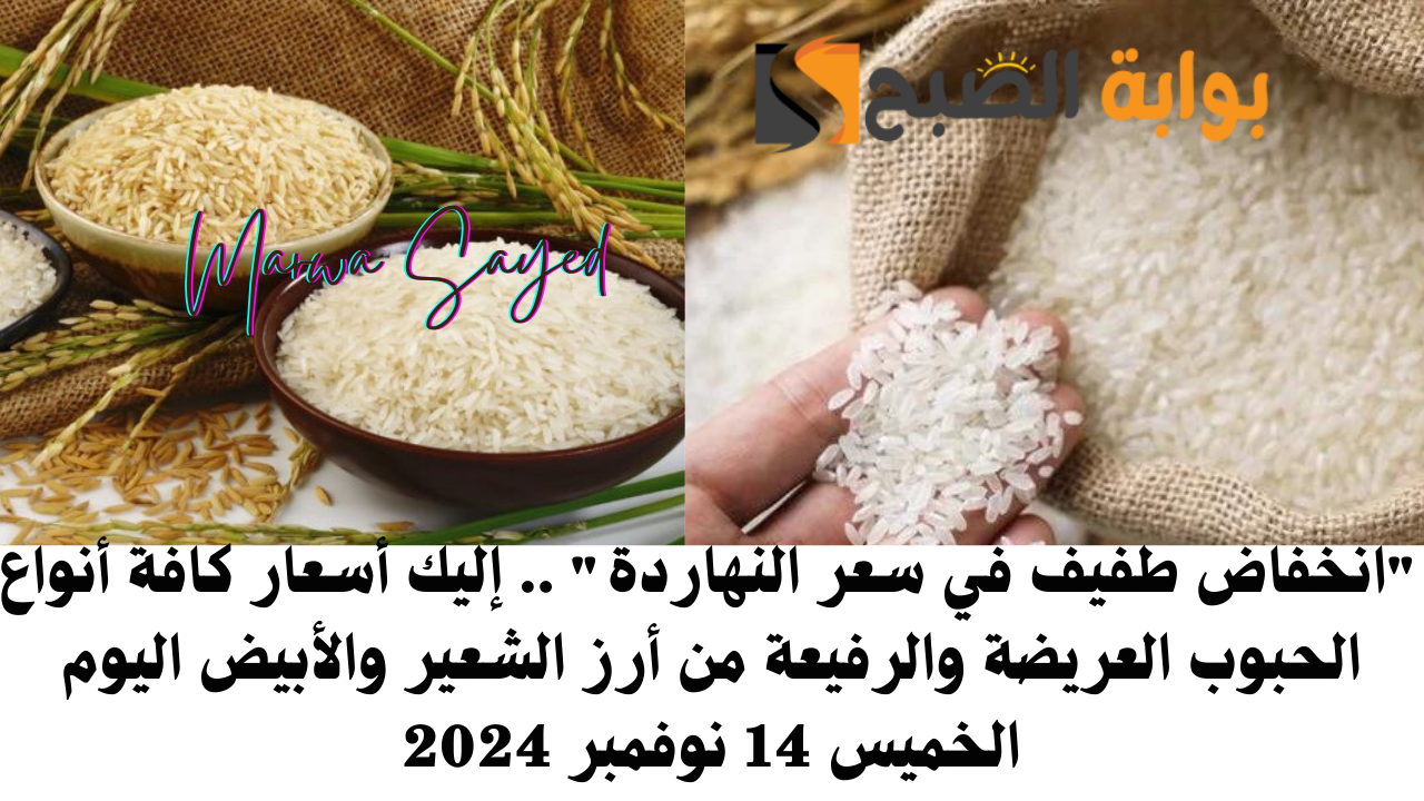 أسعار أرز الشعير اليوم في مصر