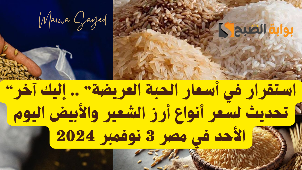 أسعار أرز الشعير في مصر