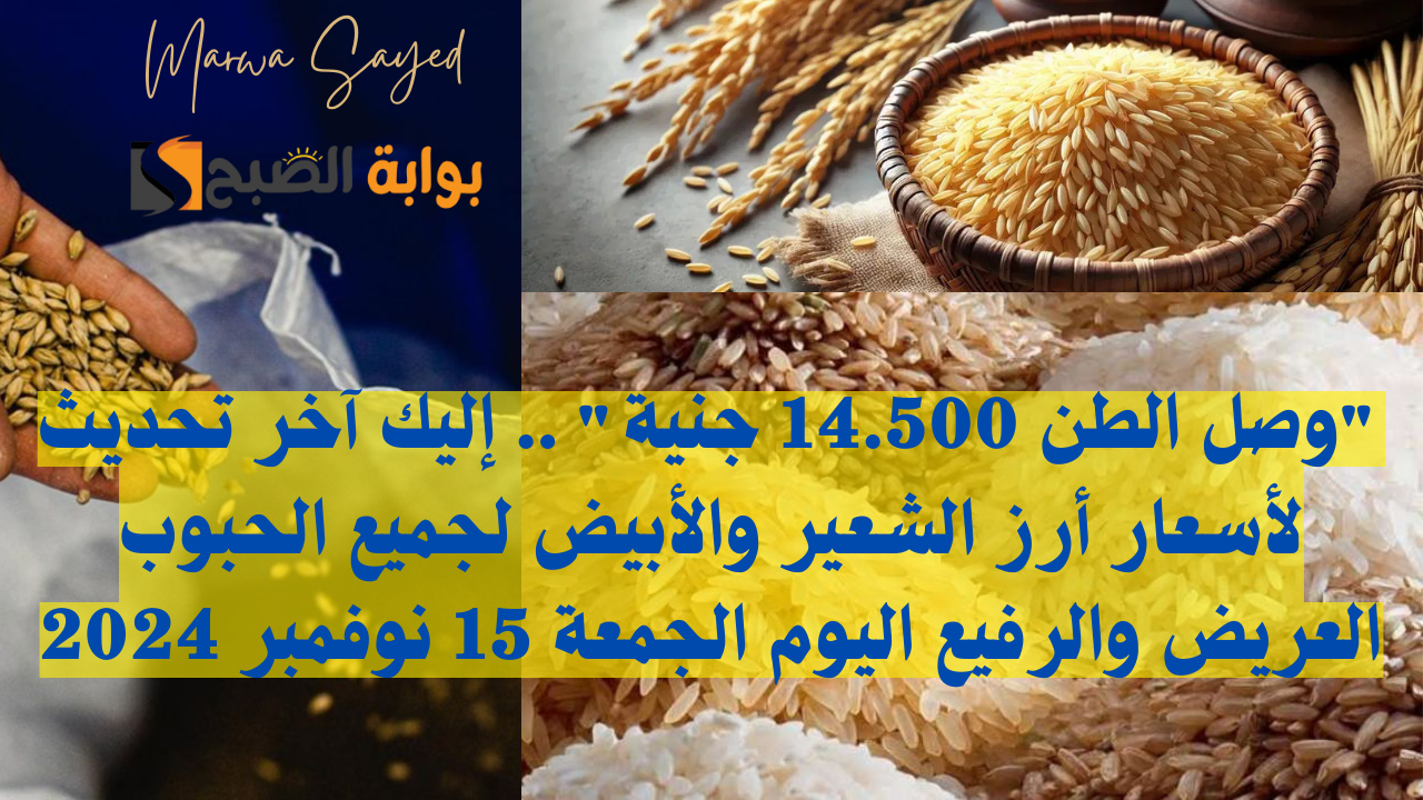 أسعار أرز الشعير في مصر