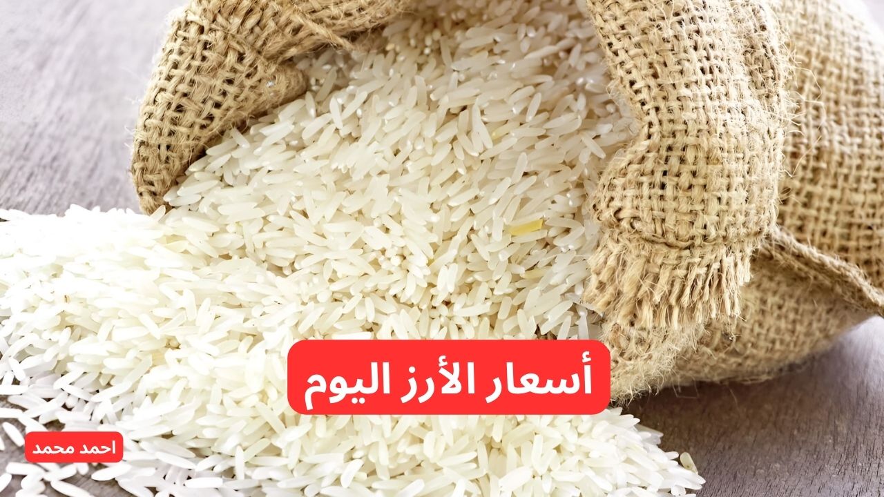 أسعار الأرز اليوم.. بكم سعر طن الأرز الشعير اليوم الثلاثاء 26-11-2024