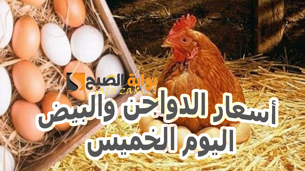 أسعار الدواجن والبيض اليوم الخميس