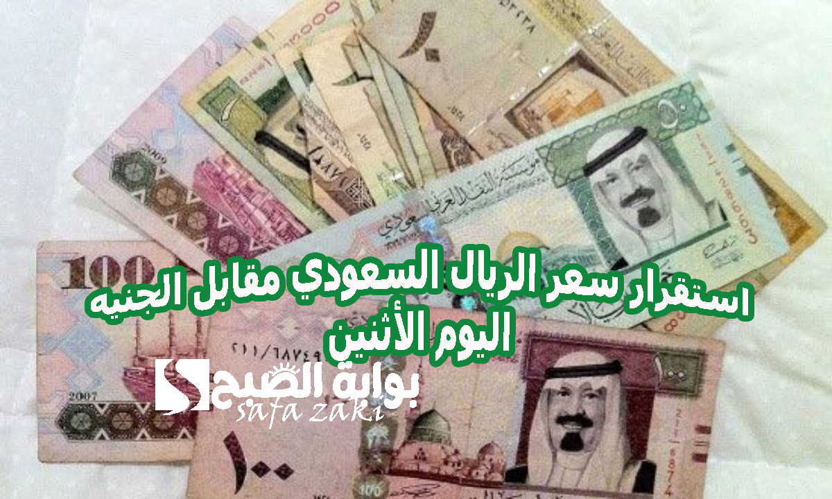 استقرار سعر الريال السعودي مقابل الجنيه اليوم الأثنين