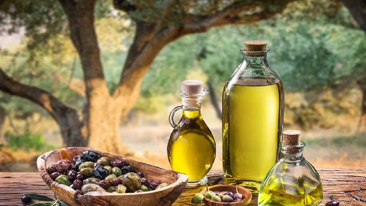 اسعار زيت الزيتون