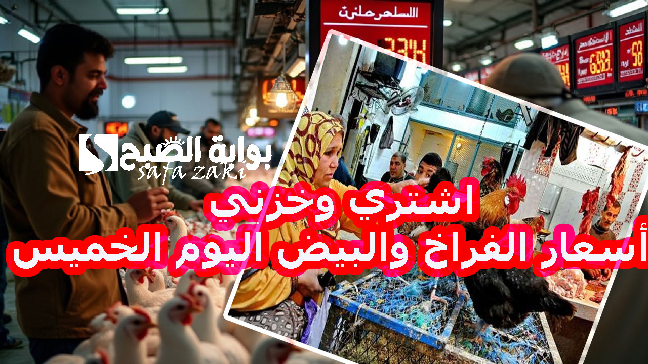 اشتري وخزني .. أسعار الفراخ والبيض اليوم الخميس