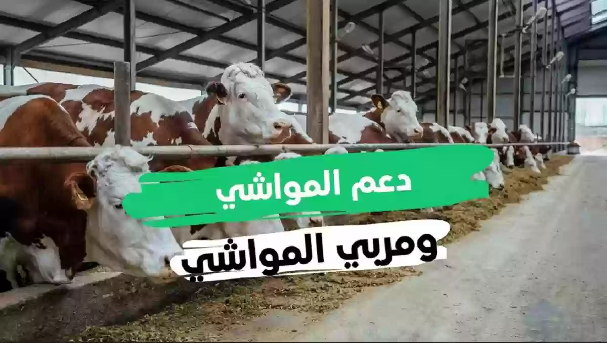 الاستعلام عن دعم المواشي لشهر ديسمبر 2024