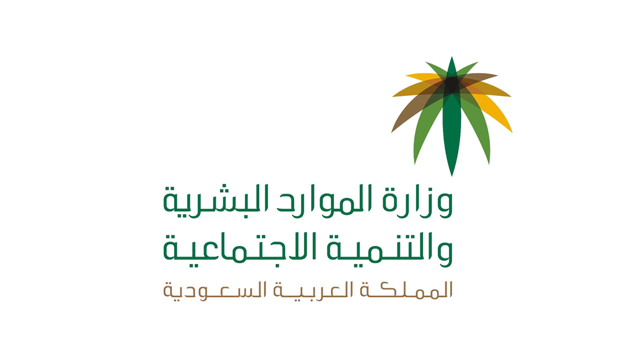 الاستعلام عن نطاق المؤسسة