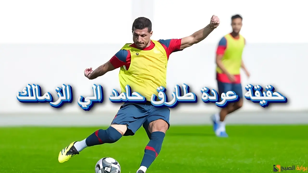 طارق حامد